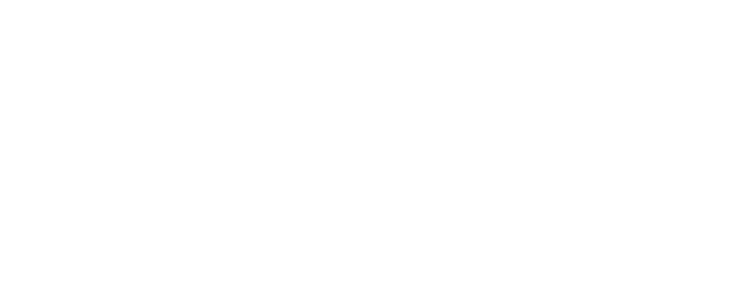 Lxndi Logo